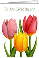 Sweetheart Tulip...