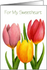 Sweetheart Tulip Card