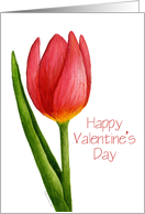 Valentine Tulip Card