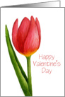 Valentine Tulip Card