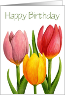 Birthday Tulip Card
