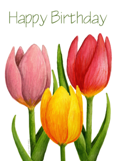 Birthday Tulip Card