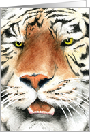 Tiger Card