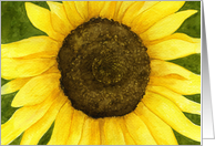 Sunflower Card