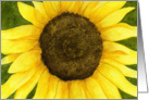 Sunflower Card