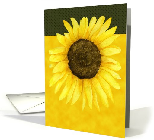 Sunflower card (477279)