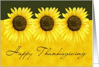Sunflower Thanksgiving Card