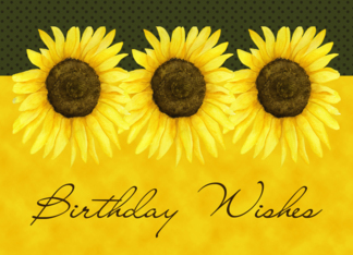 Sunflower Birthday...
