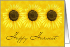 Sunflower Harvest Card