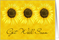 Sunflower Get Well Card