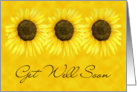 Sunflower Get Well Card