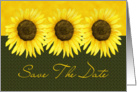 Sunflower Save The Date Card