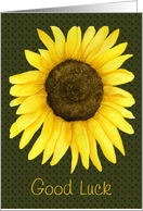 Sunflower Good Luck Card