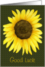 Sunflower Good Luck Card