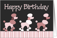 Pink Poodle Birthday Card