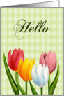 Hello Tulips Card