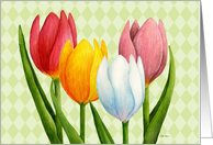 Tulips Card