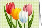 Tulips Card