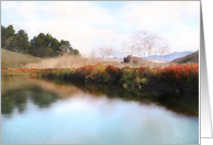 Creek in Fall