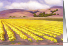 Flower Fields card