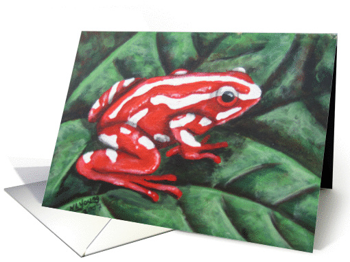 Poison Dart Frog (Red and white) card (178941)