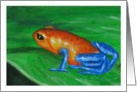 Poison dart frog (orange and blue) card