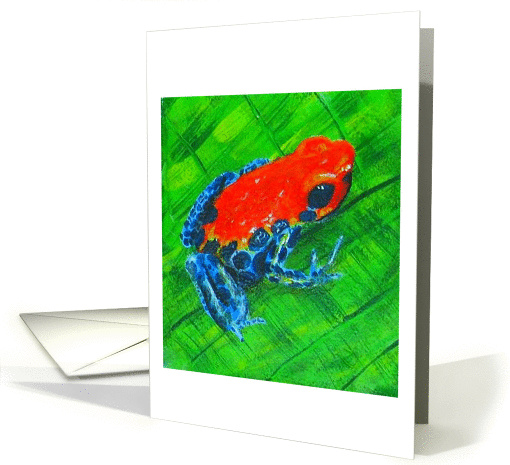 Poison dart frog (red and blue) card (178969)
