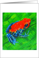 Poison dart frog (red and blue) card