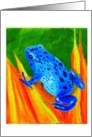 Poison dart frog (blue) card
