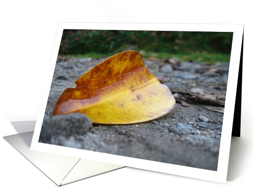 Fallen Leaf card (178993)