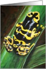 Bumblebee Frog card