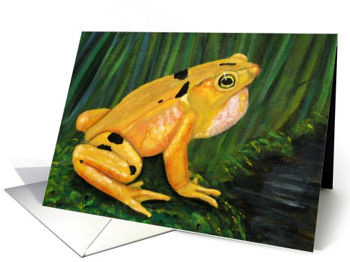 Panama Golden Frog card (489386)