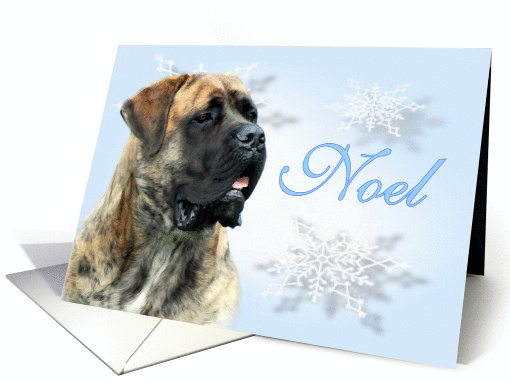 Noel ~ Apricot Brindle card (530218)