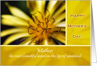 Happy Mother’s Day with Quote card