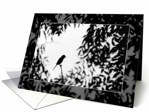 Little Bird - Blank Photo card (182656)