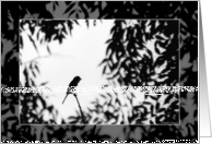 Little Bird - Blank Photo Card