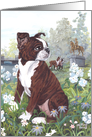 Boston Terrier brindle Dog Card