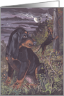 Black and Tan Coonhound Dog Card