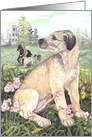 Irish Wolfhound Dog Card