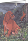 Redbone Coonhound Dog Card