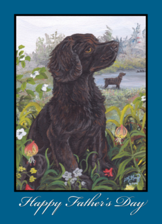 Boykin Spaniel Dog...