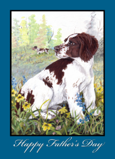 Brittany Spaniel Dog...