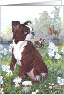 Boston Terrier brindle Dog Card