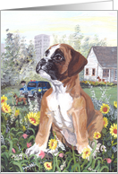 Boxer Dog Card