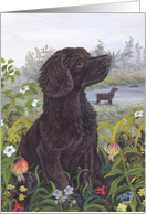 Boykin Spaniel Dog Card