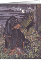 Black and Tan Coonhound Dog Card