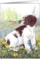 Brittany Spaniel Dog Card