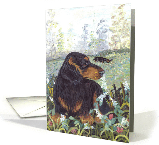 Dachshund long-hair Dog card (1285902)