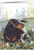 Dachshund long-hair Dog Card