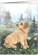 Golden Retriever Dog Card